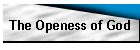 The Openess of God