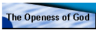 The Openess of God